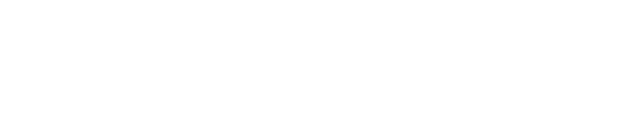 PinzPay Logo